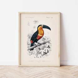 Magnifique toucan aux couleurs vives perché sur une branche