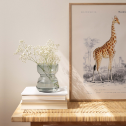 Représentation d'une girafe dans son habitat