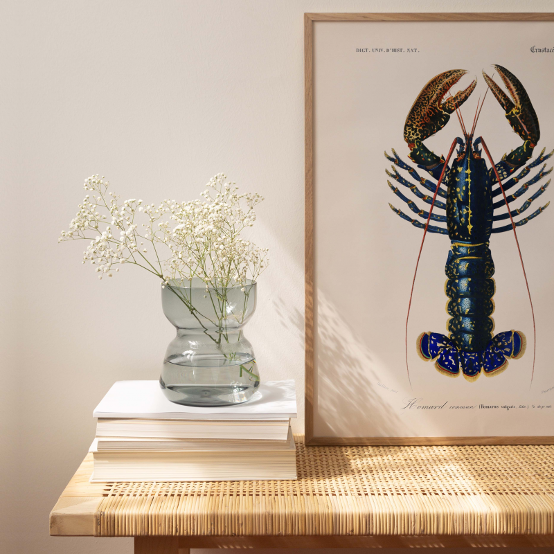 Le homard - Affiche océanographique ancienne