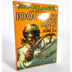 Brooklands 1000 Miles Race