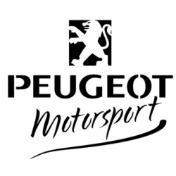 Pochoir Peugeot Motorsport