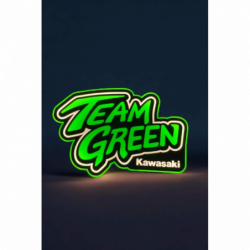Lampe LED 3D Team Green Kawasaki